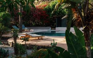 uma piscina com um banco e uma mesa e plantas em Villa calypso Pantelleria em Pantelleria