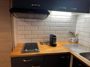 a kitchen with a counter top with a stove at Studio très pratique ! in Le Mont-sur-Lausanne