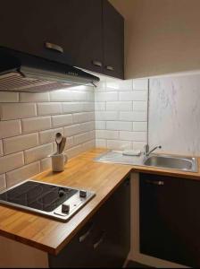 a kitchen with a stove top and a sink at Studio très pratique ! in Le Mont-sur-Lausanne