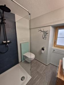 a bathroom with a toilet and a glass shower stall at Haus Rizzi in Bivio