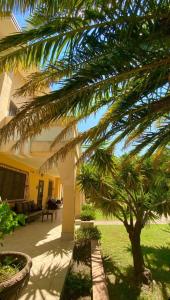 a palm tree in front of a house at San Michele Apartments&Rooms in Catanzaro