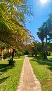 カタンザーロにあるSan Michele Apartments&Roomsの椰子の木が茂る公園内の煉瓦道