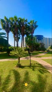 a park with palm trees and a sign in the grass at San Michele Apartments&Rooms in Catanzaro