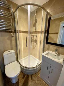 ein Bad mit einer Dusche, einem WC und einem Waschbecken in der Unterkunft Sapphire Suites in Reading