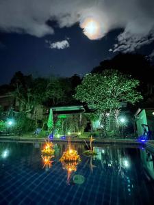 象島的住宿－Grand Tree，夜晚的游泳池,天空中月亮