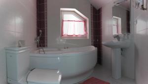 a bathroom with a tub and a sink and a toilet at АртГір гостинний двір in Mykulychyn