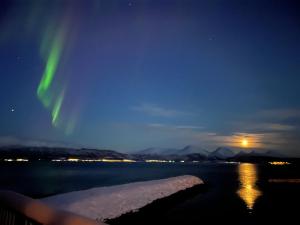 uma imagem da aurora no céu sobre a água em Larseng Kystferie em Larseng