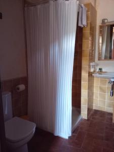 uma casa de banho com uma cortina de chuveiro e um WC em Mas Regort em Vallfogona de Ripolles
