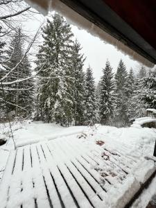 ~Chalet_Rifugio tra i boschi~ v zimě