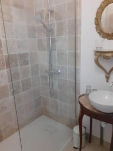 uma casa de banho com um chuveiro e um lavatório. em Gîte du Petit Bois 2/5 pers em Le Buisson de Cadouin