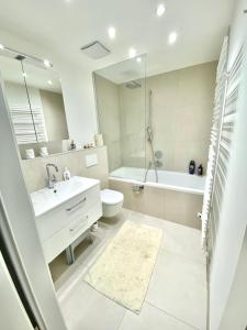 een badkamer met een wastafel, een toilet en een spiegel bij SkyLine Apartment mit Terrasse close to Lakes in Wenen