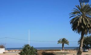 a group of palm trees on the beach at MB DREAMS DJERBA in Houmt Souk