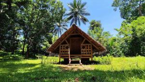 una pequeña cabaña en un campo con una palmera en Pandora Glamping en Quezon