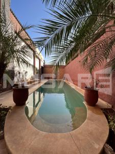 - une piscine avec deux plantes en pot à côté d'un bâtiment dans l'établissement Marrakech tamansorte, à Marrakech