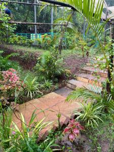 Fotografie z fotogalerie ubytování Hippie Paws v destinaci Mandrem