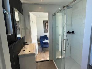 un bagno con doccia in vetro e lavandino di Chalet Meeresblick Zweite Reihe Haus Nr 250 a Enkhuizen Altre 18 foto