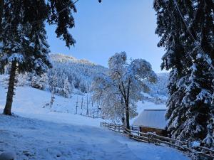 Gallery image of Kinder- und Familienhotel Nockalm in Innerkrems