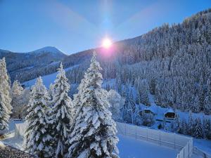 um grupo de árvores cobertas de neve com o sol ao fundo em Kinder- und Familienhotel Nockalm em Innerkrems