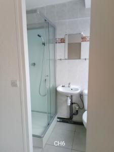 a bathroom with a glass shower and a sink at HOTEL LE FONTENOY in Provins