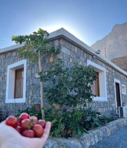 una mano sosteniendo un montón de manzanas delante de una casa en Jabal Shams Villa, en Sa‘ab Banī Khamīs