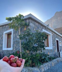 a hand holding a bunch of apples in front of a house at Jabal Shams Villa in Sa‘ab Banī Khamīs