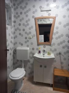 uma casa de banho com um WC, um lavatório e um espelho. em LA Amadeus & Monica em Miniş