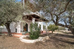 een wit huis met een boom ervoor bij Villa Francesco P Terra in Orosei