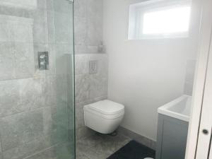 a bathroom with a toilet and a glass shower at The Studio @ Michael House in Horley
