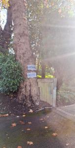 a tree with signs on it next to a fence at The Studio @ Michael House in Horley