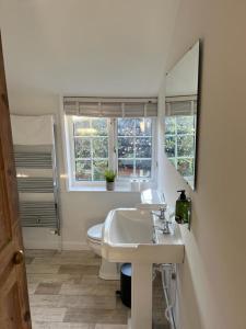 a bathroom with a sink and a toilet and a mirror at 42 Church Row - 2 beds and 2 bathrooms in Bury Saint Edmunds