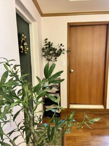 un corridoio con una porta e una pianta di DMS_s01 a Seul