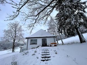 Villa Diemelsee v zimě