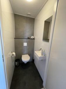 een kleine badkamer met een toilet en een wastafel bij Chalet Sunrise Vierte Reihe Haus Nr 218 in Enkhuizen