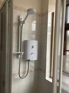 a shower in a bathroom next to a mirror at Peaceful Open-Plan Cottage With A View in Wellington