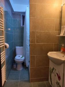 een badkamer met een toilet en een wastafel bij LA Amadeus & Monica in Miniş