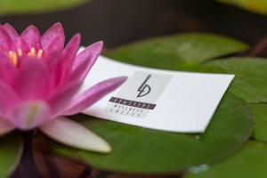 a price tag on a pink water lily at Liassidi Wellness Suites in Venice