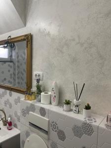 拉姆尼庫沃爾恰的住宿－Tamara’s Place，一间带水槽、镜子和卫生间的浴室