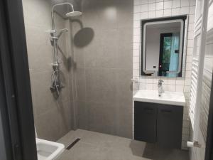 een badkamer met een wastafel, een toilet en een spiegel bij Pine Aparthotel in Shekhvetili +58 foto's