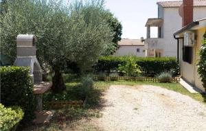 un jardín con un banco y un olivo en Pelizzar, en Vrsar