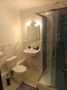 uma casa de banho com um WC, um lavatório e um chuveiro em Pensjonat Wiking em Stare Jabłonki