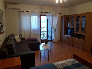 TV a/nebo společenská místnost v ubytování Apartment Andela