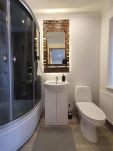 a bathroom with a toilet and a sink and a shower at New apartment in historic house in Riga