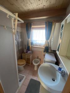 Baño pequeño con lavabo y aseo en Appartamento al Tabià Pizal, en Santo Stefano di Cadore