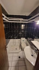 Bathroom sa Obrava Guesthouse Kotroni Trikalon