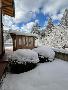 Ferienwohnungen LODGE-B v zimě