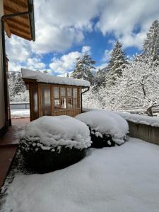 a house covered in snow with two bushes at Ferienwohnungen LODGE-B in Weissenbach am Lech
