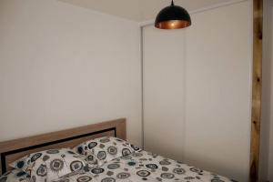 a bedroom with a bed and a light and a lamp at Appartement T2, avec Terrasse. in La Roche-sur-Yon