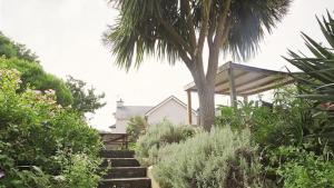 a house with a palm tree and some stairs at Bull Croft Cottage in Oxwich