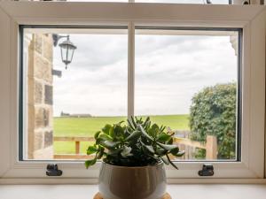 a potted plant sitting in front of a window at 1 Bed in Pateley Bridge 89152 in Summer Bridge