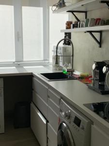 uma cozinha com um lavatório e uma máquina de lavar roupa em Corridoni Suites em Pisa